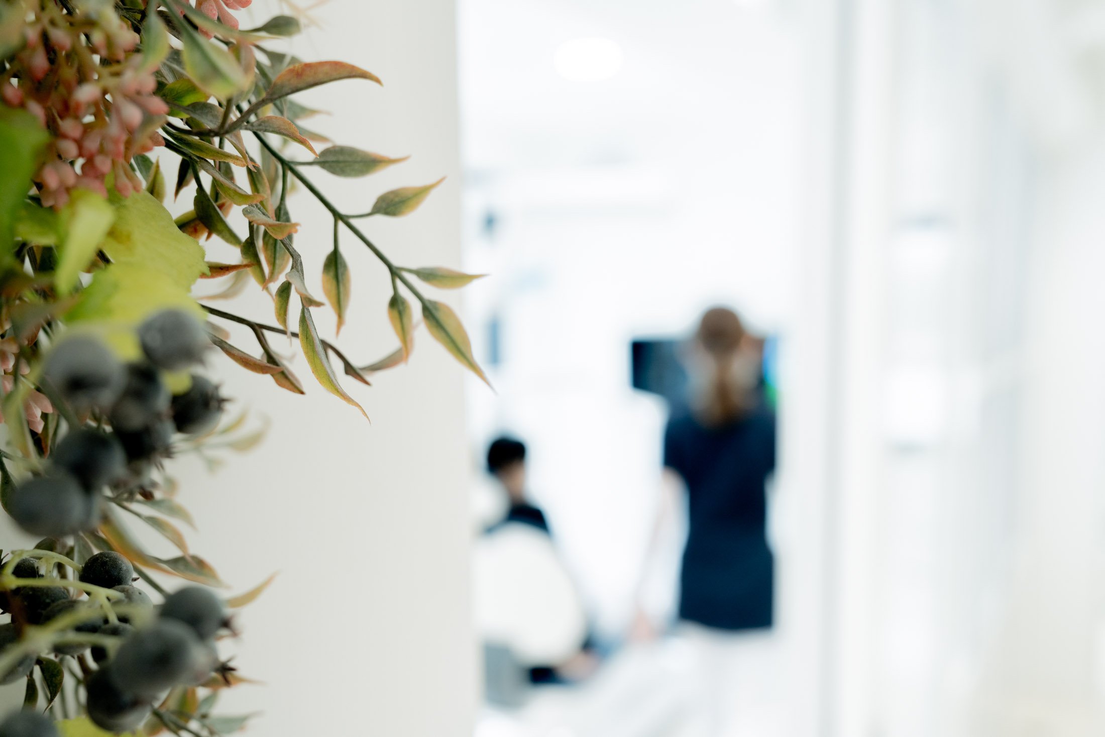 いつもの歯科医院、 いつもの歯科衛生士​